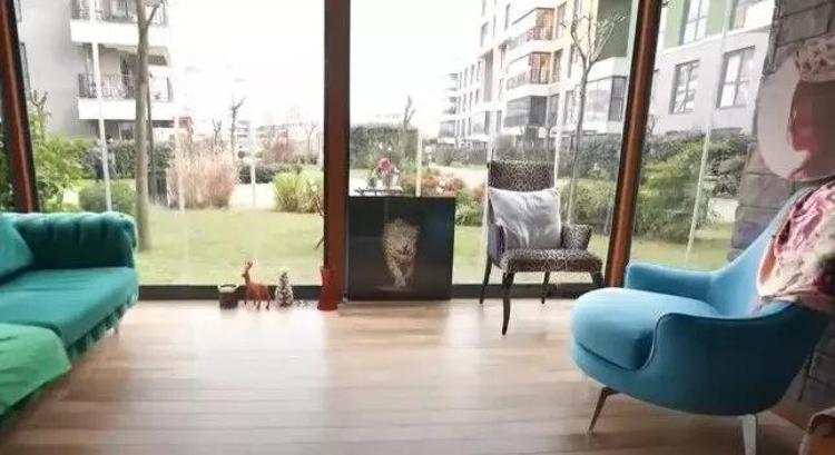 Banu Alkan 17 yaş küçük eşini boşuyor Sebebine inanamayacaksınız