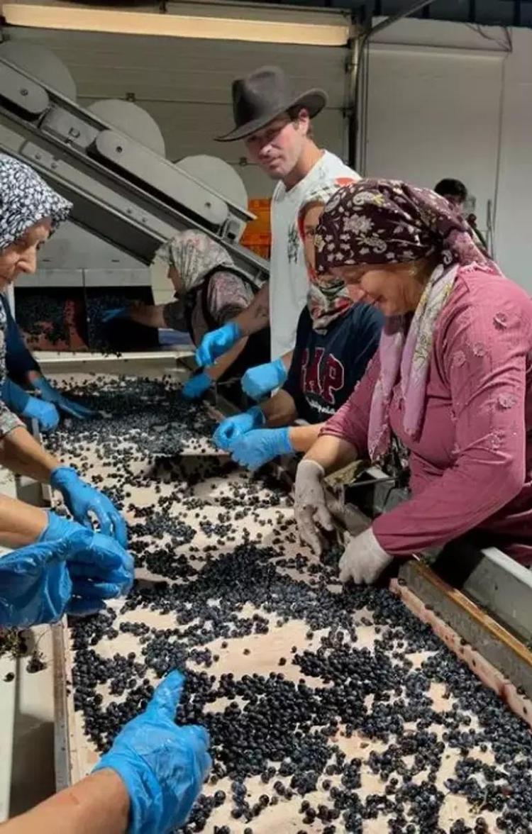 Başak Dizerden Kıvanç Tatlıtuğa romantik kutlama