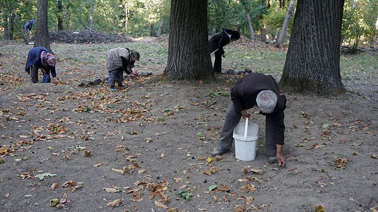 “ÇİN KESTANESİ ARTIK PİYASADA YOK”