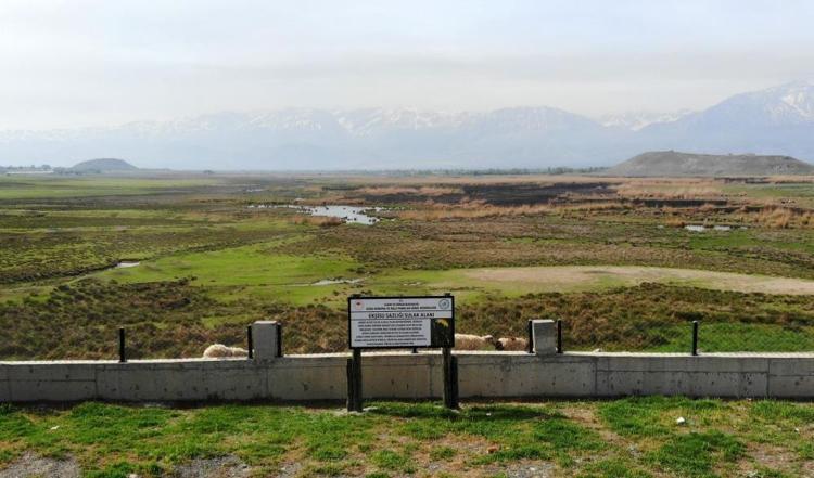 300 kuş türü Erzincanda mola veriyor Ekşisu Sazlığında göç dönemi başladı