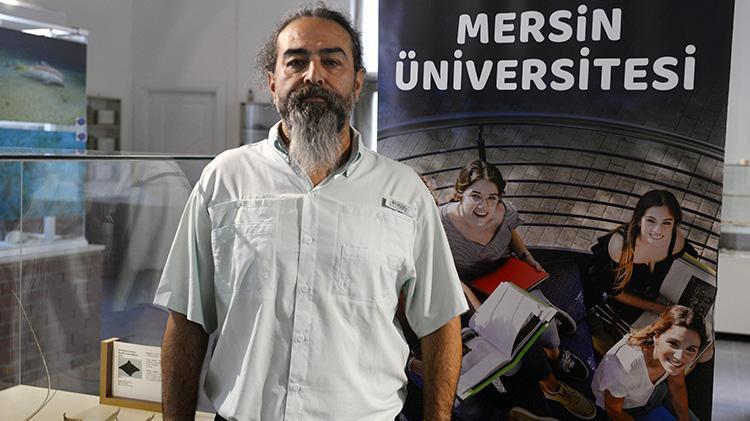 Denizin akciğerleri ‘deniz çayırları’ yok olma tehlikesi ile karşı karşıya