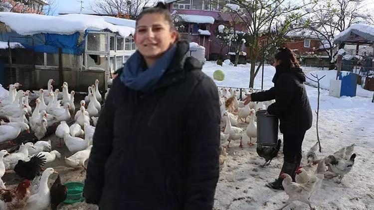Ebru Öğretmen köye yerleşerek kaz sürüsüne sahip oldu
