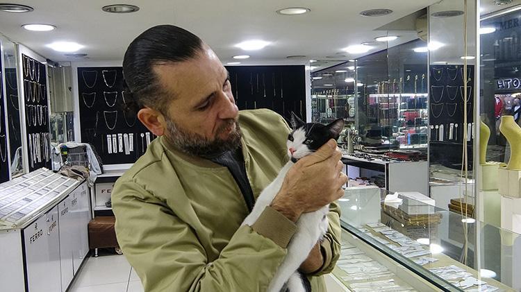 Mersinde gümüşçünün vitrinini kediler süslüyor