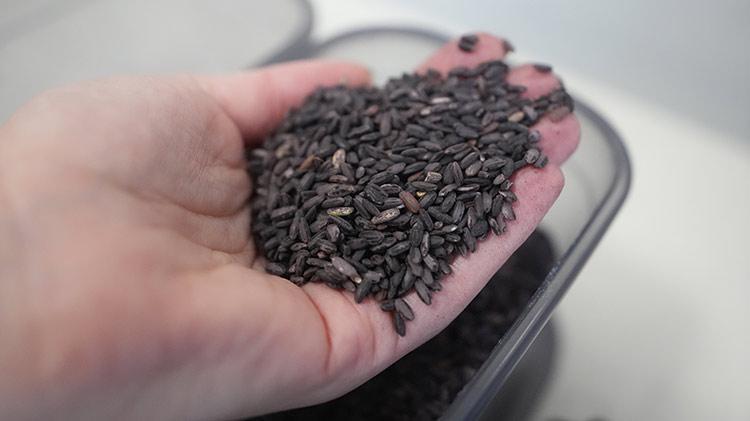 KOSGEBden aldığı hibe desteği ile yeni işini kurdu, siyah pirince katma değer kazandırdı