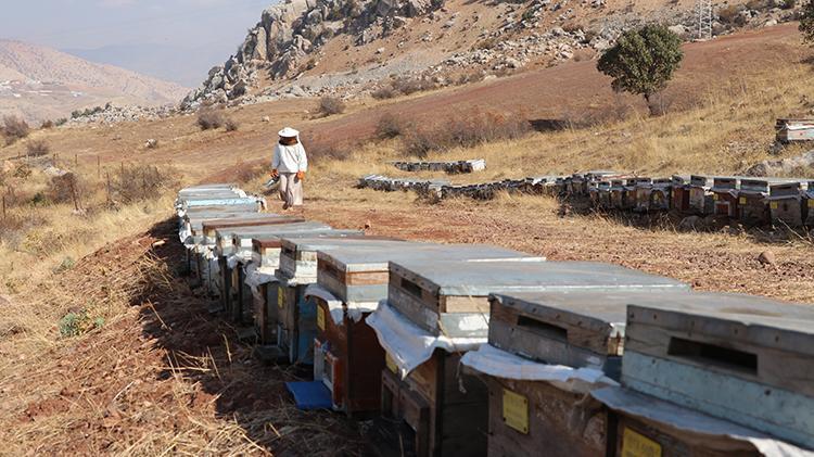Siirtli genç kız babasından öğrendi Devlet desteğiyle kendi işini kurdu