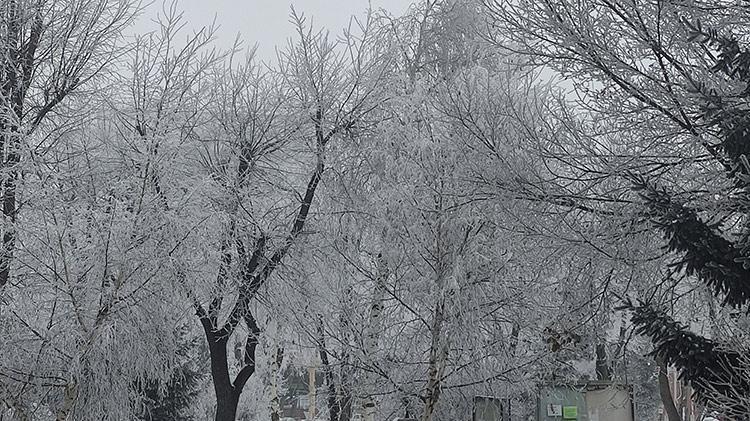 Termometreler eksi 26yı gösterdi Bir kent resmen buz tuttu