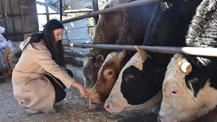 BESİCİLİĞE DÖNMEYİ DÜŞÜNÜYORUZ