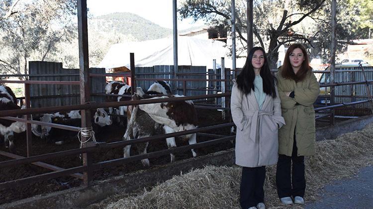 İzmirde yüksek lisans mezunu kız kardeşler devlet desteğiyle hayvancılık yapmaya başladı 13 inekle başladıkları işte şimdi 40 inek besliyorlar