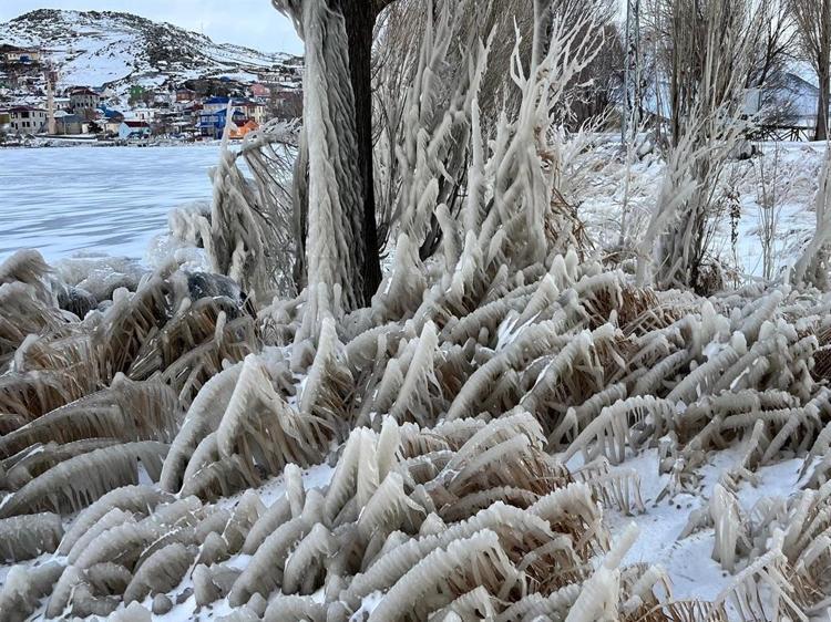 Göl dondu, kuşlar Çınar Teyzeye kaldı Elleriyle besliyor
