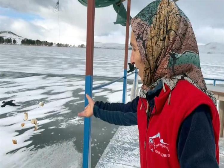 Göl dondu, kuşlar Çınar Teyzeye kaldı Elleriyle besliyor