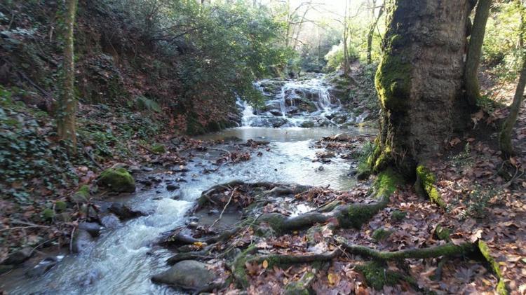 KRALLAR, SULTANLAR TERMALDE ŞİFA ARADI