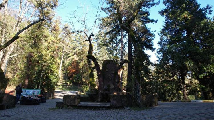 Roma, Bizans, Osmanlı Krallar, Sultanlar burada şifa aradı: Yalovanın termal kaplıcaları binlerce yıldır şifa dağıtmaya devam ediyor