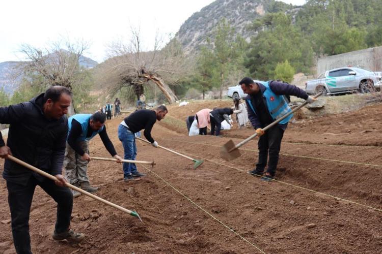Fekede sahlep fidanları toprakla buluştu İlçenin katma değerini artıracak