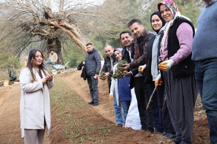 Fekede sahlep fidanları toprakla buluştu İlçenin katma değerini artıracak
