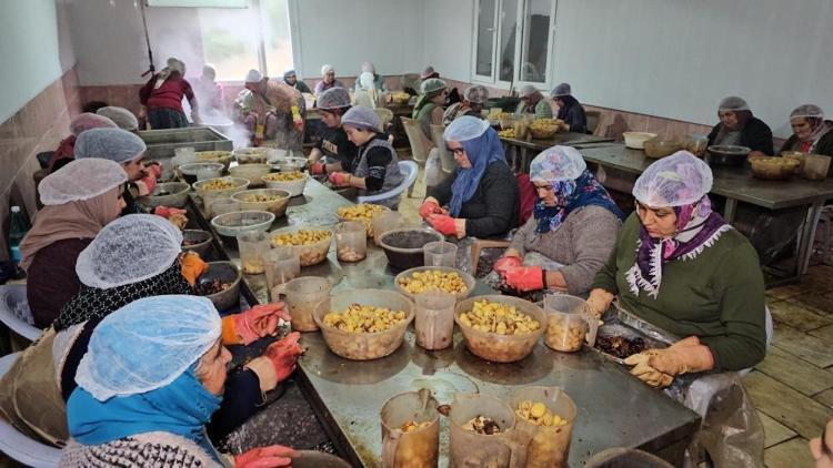 Japonlar bir kere tattı bağımlısı oldu Aydının kadını erkeği çalışıp siparişlere yetişmeye çalışıyor