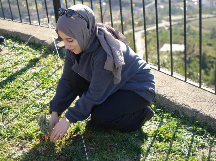 “Lavantayı bir kez diktiğinizde 20 yıl kadar size verim verir”