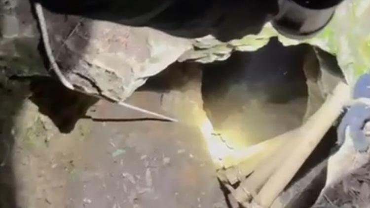 Bursada defineciler suçüstü yakalandı