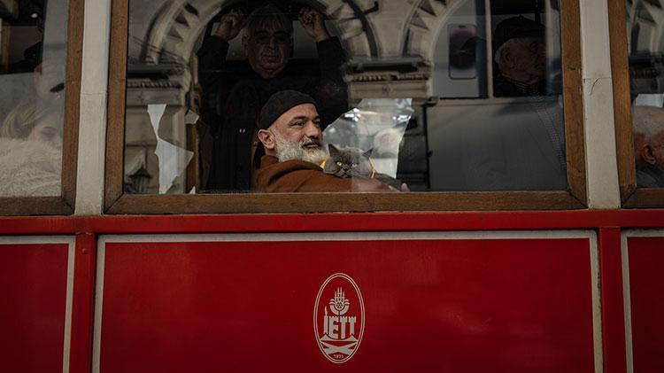 Kedi reis sahibinin omzunda İstanbulu keşfediyor
