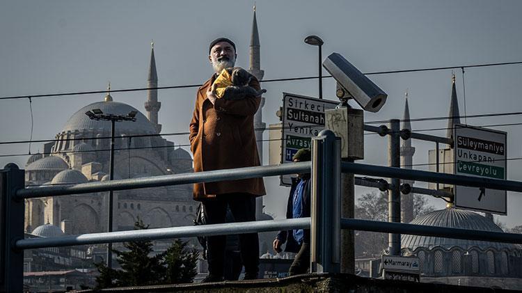 Kedi reis sahibinin omzunda İstanbulu keşfediyor