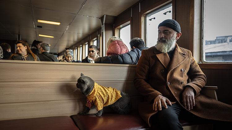 Kedi reis sahibinin omzunda İstanbulu keşfediyor