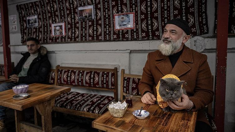 Kedi reis sahibinin omzunda İstanbulu keşfediyor