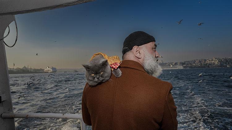 Kedi reis sahibinin omzunda İstanbulu keşfediyor