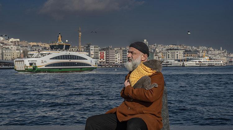 Kedi reis sahibinin omzunda İstanbulu keşfediyor