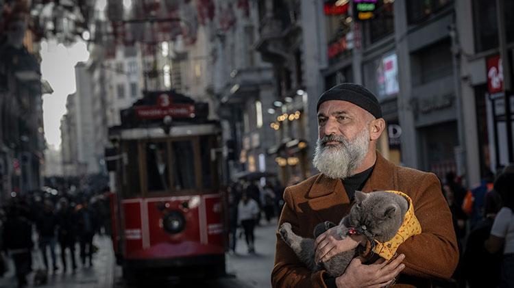 Kedi reis sahibinin omzunda İstanbulu keşfediyor