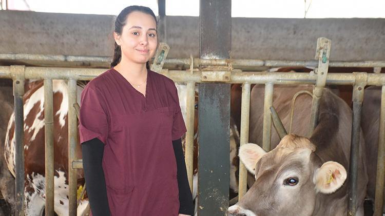 İzmirde çiftliğini torununa devretmeye hazırlanan dede, şimdiden eğitim veriyor