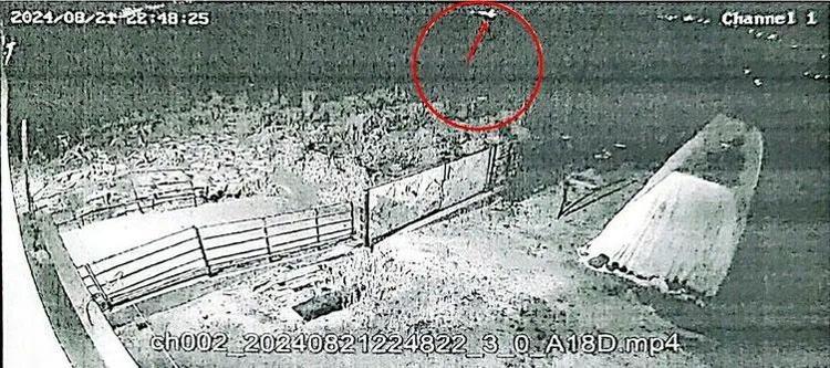 Narin Güran cinayeti davasında verilen cezalar yeterli miydi Hukuk camiasından çarpıcı açıklamalar
