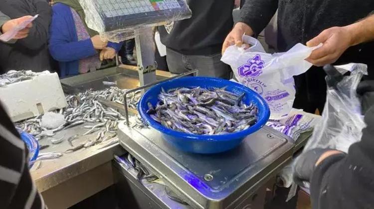 Fiyatını duyan koştu Artvinde 6 ton hamsi 3 saatte tükendi