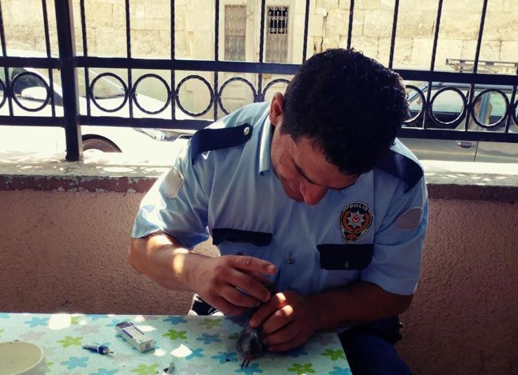 Adanada ailesini katleden polis memurunun 8 yıl önce güvercini kurtardığı ortaya çıktı Oğlunun intihar nedeni belli oldu