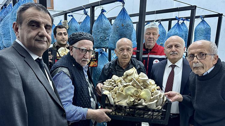 Yaşlı kadın ve erkekler huzurevinde de rahat durmadı Sinopta huzurevi sakinleri mantar üretimi yapmaya başladı
