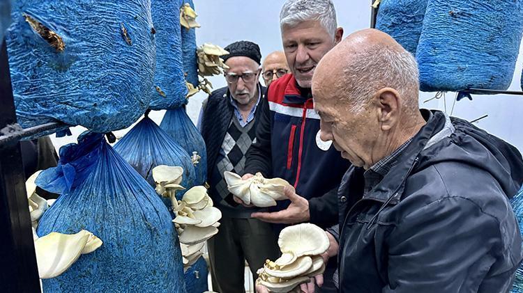 Yaşlı kadın ve erkekler huzurevinde de rahat durmadı Sinopta huzurevi sakinleri mantar üretimi yapmaya başladı