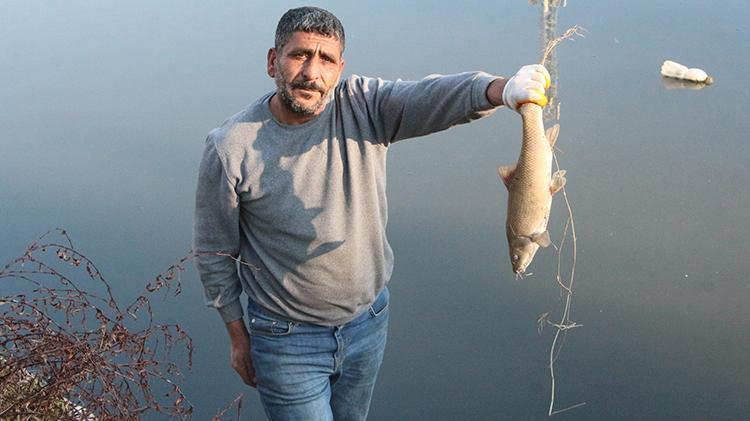 Adanada kirlenen Ceyhan Nehrinde balık ölümleri arttı İnsan sağlığı tehdit altında