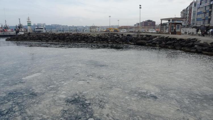 Çanakkale Boğazında müsilaj alarmı: Canlı yaşam tehdit altında, balık ölümleri artabilir