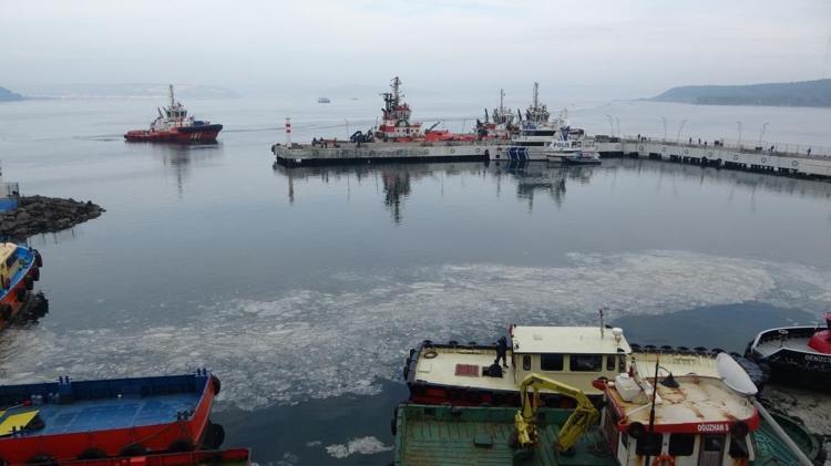 Çanakkale Boğazında müsilaj alarmı: Canlı yaşam tehdit altında, balık ölümleri artabilir