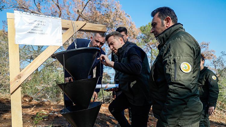 Antalya’da ormanları ele geçiren büyük tehlike 3 - 4 milimetre 15 günde ağacı kurutuyor