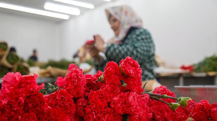 GEÇEN YILA KIYASLA YÜZDE 20 ARTIŞIMIZ VAR