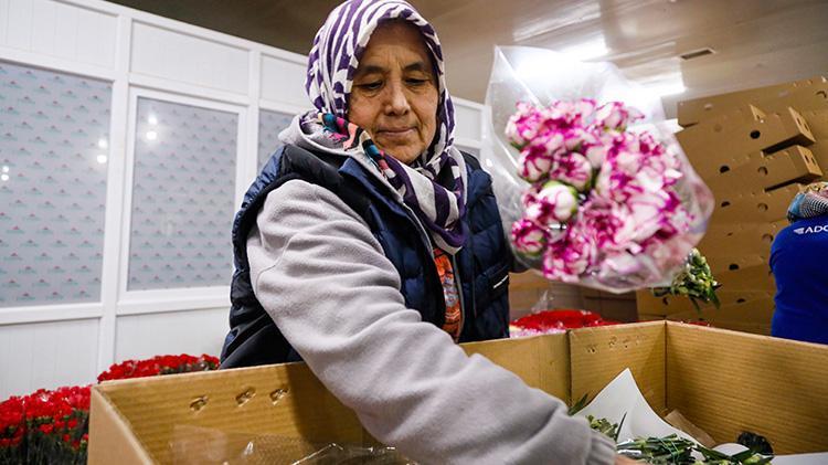 Antalya 14 Şubatı fırsata çevirdi 30 ülkeye 75 milyon dal çiçek ihraç etti