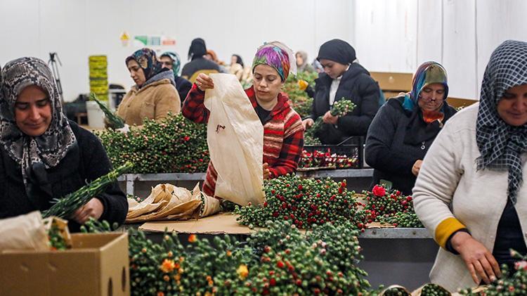 Antalya 14 Şubatı fırsata çevirdi 30 ülkeye 75 milyon dal çiçek ihraç etti