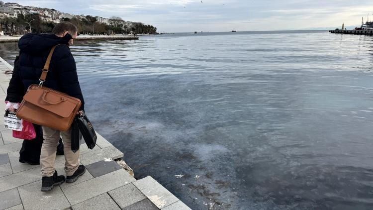 Sinop kıyılarını işgal ettiler Binlercesi görüntülendi