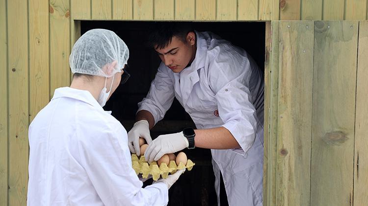 Sivaslı öğrencilerden girişimcilik örneği Okulda bıldırcın ve yumurta üretiyorlar