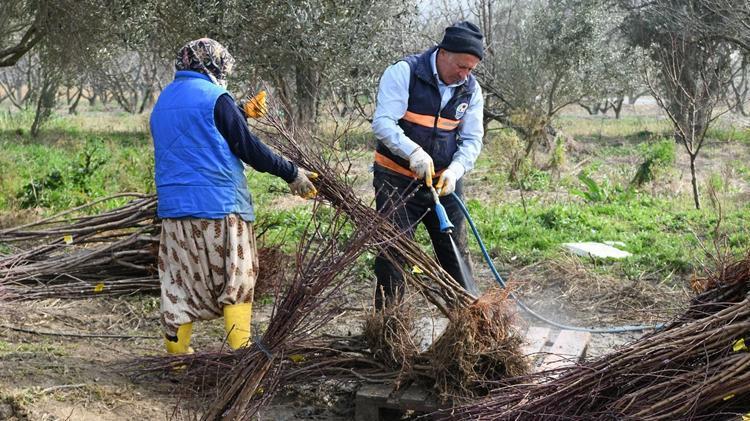 5 dönümle başladı, şimdi Çanakkalenin en büyüğü oldu Birçok ülkeye binlerce satış yapıyor