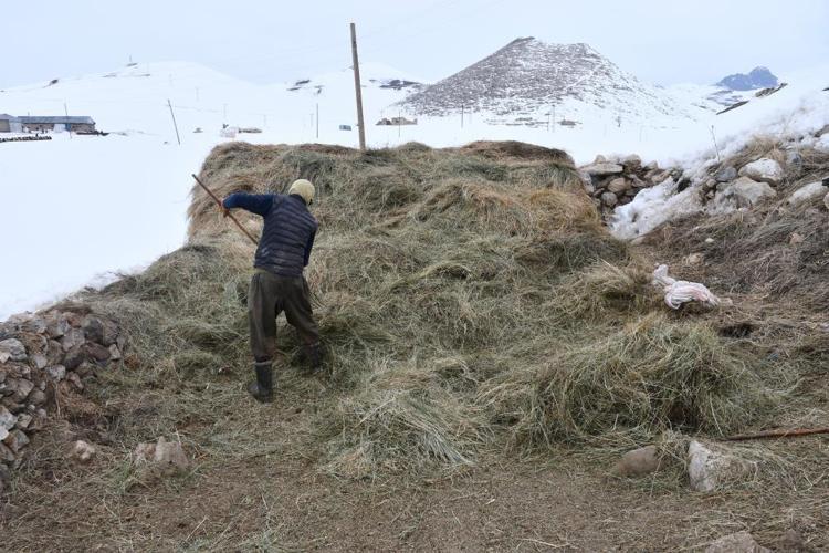 20 yıldır dağdan inmedi Şırnaklı çoban, sadece 1 ay okula gitti: En çok o şehri görmek istiyor