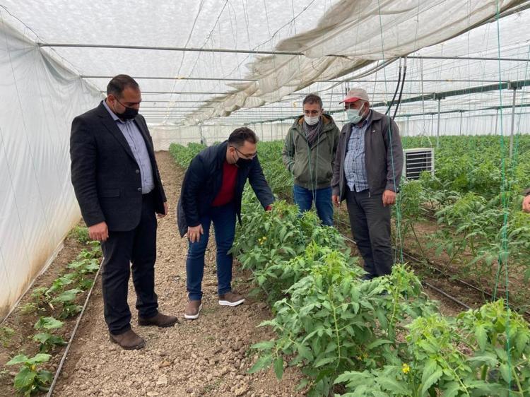 Sivasta üniversite-sanayi işbirliğiyle seracılıkta devrim: Isıtma maliyetleri 5te 1 azalıyor