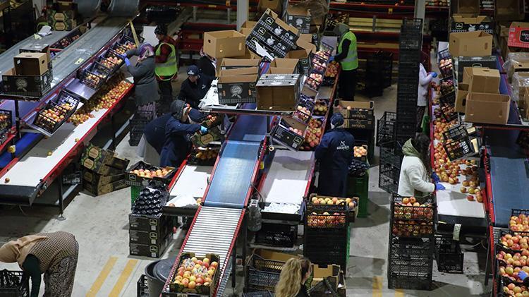 Çorumlu ailenin elma bahçesiyle başlayan serüveni, devlet desteğiyle 25 ülkeye ihraç yapan bir şirkete dönüştü
