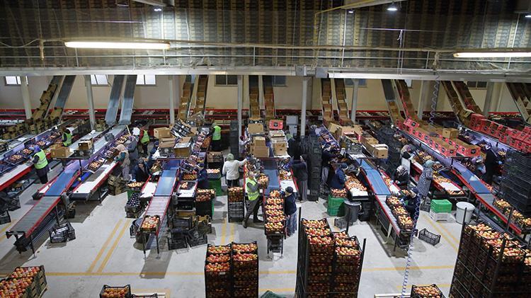 Çorumlu ailenin elma bahçesiyle başlayan serüveni, devlet desteğiyle 25 ülkeye ihraç yapan bir şirkete dönüştü