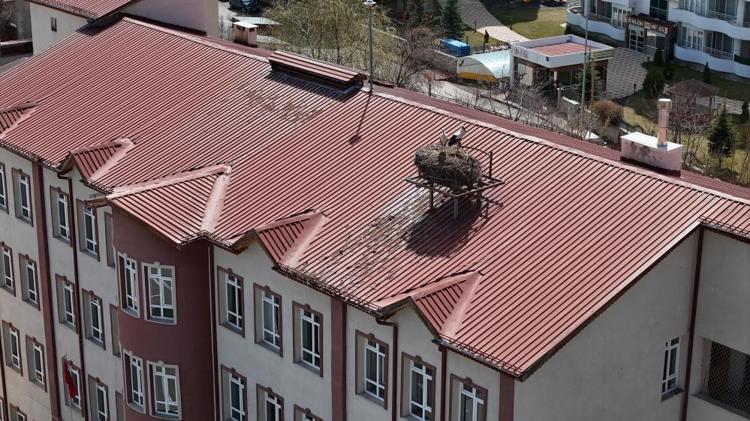 Sivasın maskotu oldu 42 yıldır aynı leylek bu okulun çatısına geliyor