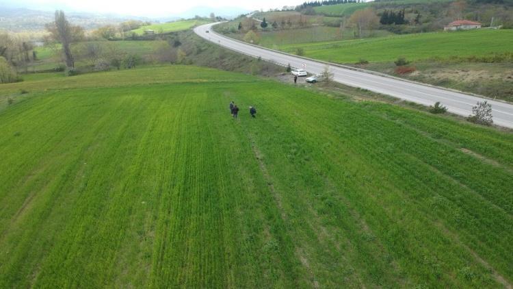 Sinopta tarlasında kenevir ele geçirilen çiftçi: Yasa dışı iş yapmadık, valilik rencide etti